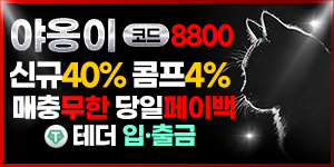 야옹이