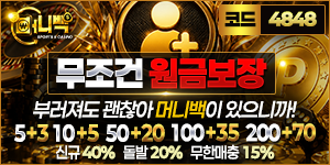 머니백
